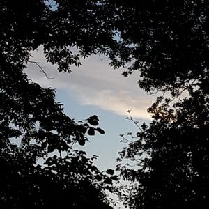 Meet your Posher, Stef